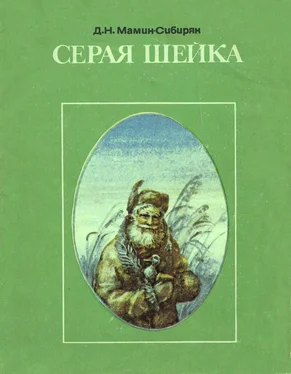 Дмитрий Мамин-Сибиряк Серая Шейка обложка книги