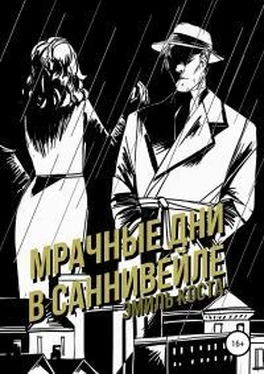 Эмиль Коста Мрачные дни в Саннивейле [publisher: SelfPub] обложка книги