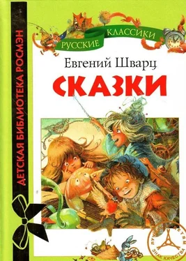 Евгений Шварц Сказки обложка книги