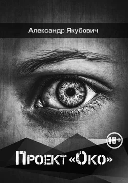Александр Якубович Проект «Око» обложка книги