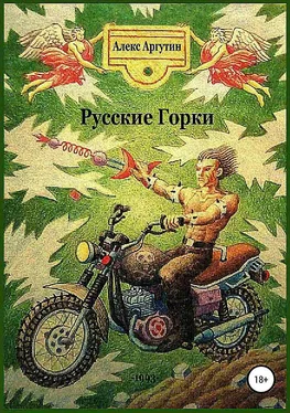 Алекс Аргутин Русские горки [СИ] обложка книги