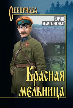 Юрий Мартыненко Красная мельница [litres] обложка книги