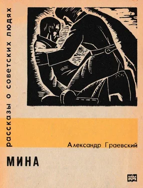 Александр Граевский Мина обложка книги