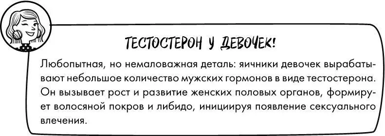 Календарь полового созревания В 10511 летначинается рост молочных желез они - фото 1