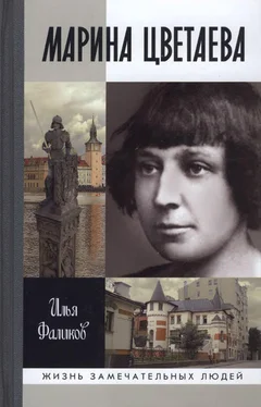 Илья Фаликов Марина Цветаева. Твоя неласковая ласточка обложка книги