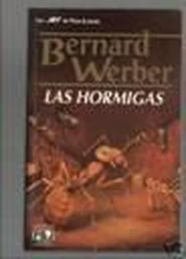 Bernard Werber Las Hormigas обложка книги