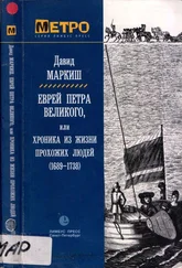 Давид Маркиш - Еврей Петра Великого [Роман]