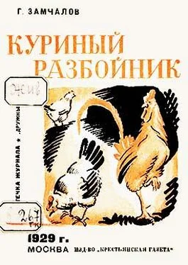 Григорий Замчалов Куриный разбойник обложка книги