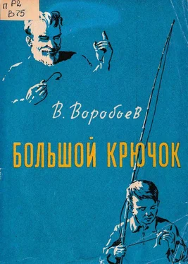 Владимир Воробьёв Большой крючок [Рассказы] обложка книги