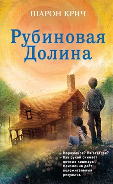 Шарон Крич Рубиновая Долина обложка книги