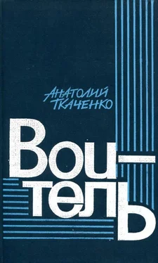 Анатолий Ткаченко Воитель обложка книги