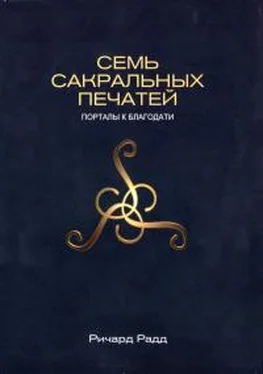 Радд Ричард Семь сакральных печатей. Порталы к благодати обложка книги