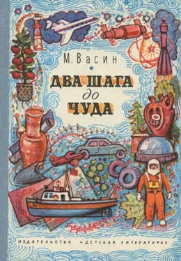 Михаил Васин Два шага до чуда [Очерки] обложка книги