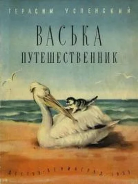 Герасим Успенский Васька путешественник обложка книги