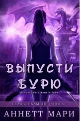 Аннетт Мари - Выпусти бурю