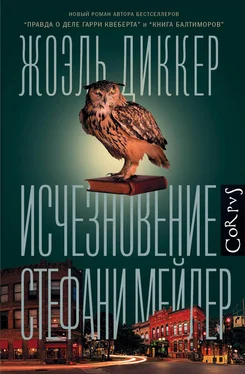 Жоэль Диккер Исчезновение Стефани Мейлер [litres] обложка книги