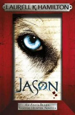 Лорел Гамильтон Jason обложка книги