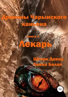 Давид Шторк Драконы Чарынского каньона. Книга 1. Лекарь [publisher: SelfPub] обложка книги