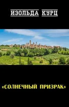 Изольда Курц Солнечный призрак обложка книги