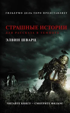 Элвин Шварц Страшные истории для рассказа в темноте [сборник litres] обложка книги