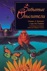 Стивен Бухманн - Забытые опылители