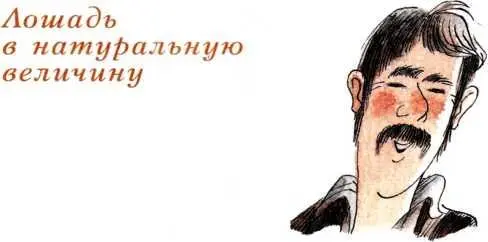 Лошадь в натуральную величину а мы не знали какой у нас симпатичный сосед - фото 61