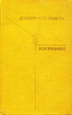 Думитру Попеску Избранное обложка книги