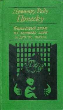 Думитру Попеску «Фаянсовый гном из летнего сада» и другие пьесы обложка книги