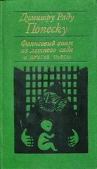 Думитру Попеску - «Фаянсовый гном из летнего сада» и другие пьесы