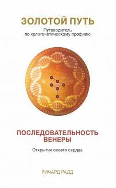 Ричард Радд Золотой Путь. Последовательность Венеры обложка книги