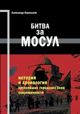 Александр Кореньков Битва за Мосул обложка книги