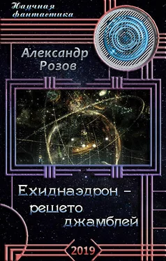 Александр Розов Ехиднаэдрон - решето джамблей обложка книги