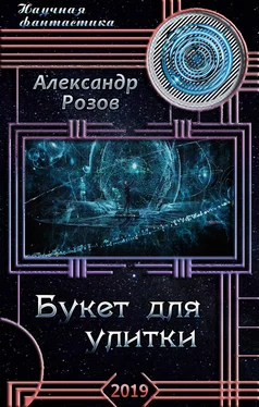 Александр Розов Букет для улитки обложка книги