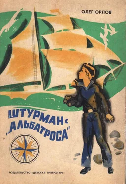 Олег Орлов Штурман с «Альбатроса» обложка книги
