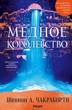 Шеннон Чакраборти Медное королевство обложка книги
