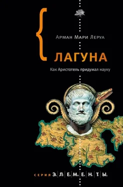 Арман Леруа Лагуна. Как Аристотель придумал науку обложка книги