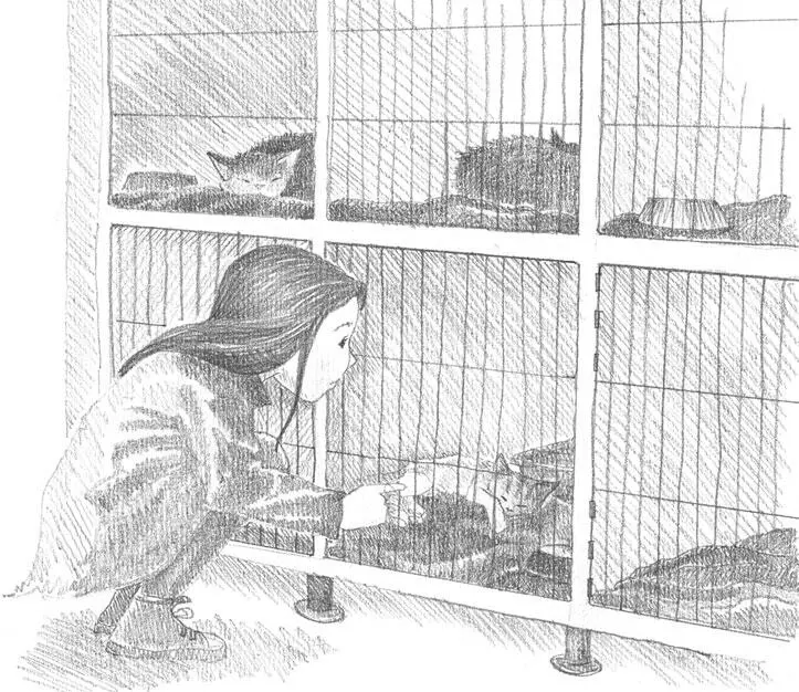 Так что на Рождество бабушка подарила Хелен фарфоровую кошечку и книгу Там - фото 13