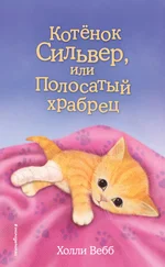 Холли Вебб - Котёнок Сильвер, или Полосатый храбрец