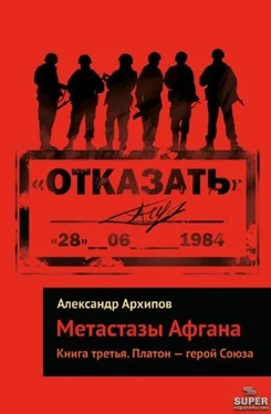 Александр Архипов Платон – герой Союза обложка книги