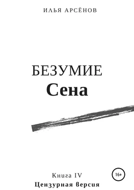 Илья Арсёнов Сен. Книга четвертая. Безумие Сена обложка книги