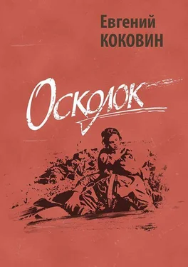 Евгений Коковин Осколок обложка книги