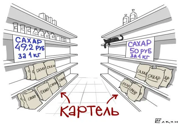 Бензиновые картели ИП Мрыхиной В Е ИП Пащинсковой Т П ИП Болышева А В - фото 9