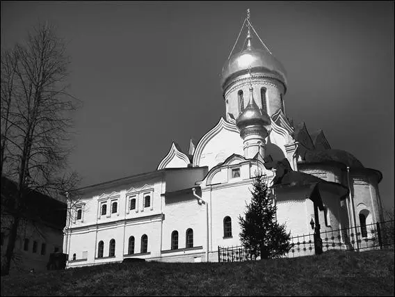 Рождественский собор СаввиноСторожевского монастыря Под Звенигородом вблизи - фото 114