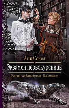 Аня Сокол Экзамен первокурсницы обложка книги