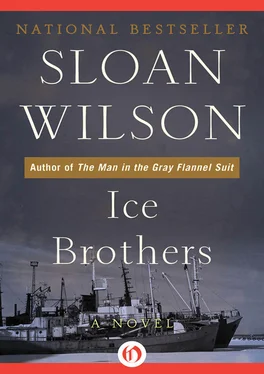 Sloan Wilson Ice Brothers обложка книги