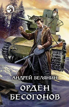 Андрей Белянин Орден бесогонов обложка книги