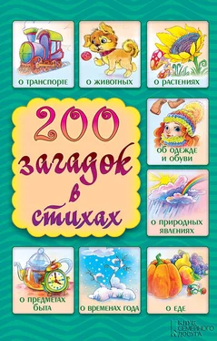 Елена Шкубуляни 200 загадок в стихах обложка книги