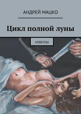 Андрей Мацко Цикл полной луны обложка книги