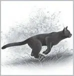 A blustery wind shook the branches overhead Thunder tucked his forepaws closer - фото 7