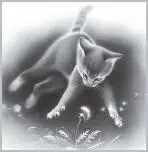 Gray Wing dropped into a hunting crouch High above him faint sunlight - фото 8